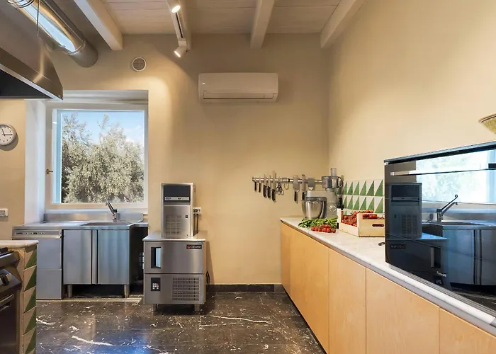 Villa Domus Olivae *